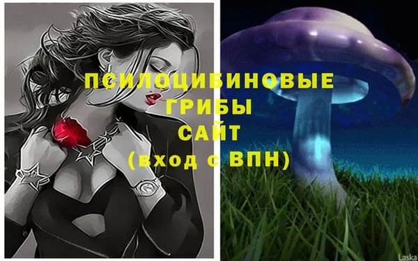 экстази Заводоуковск