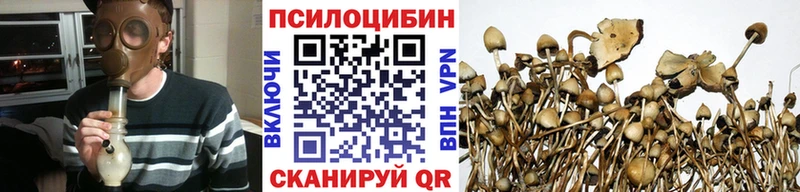 Псилоцибиновые грибы Psilocybe  KRAKEN зеркало  Новомосковск 